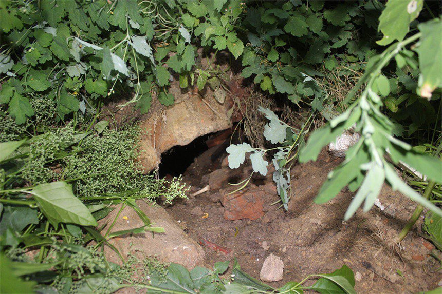 Новини Вінниці / У Вінниці на місці колишнього будинку лікаря Штерна знайдено підземний хід (ФОТО, ВІДЕО)