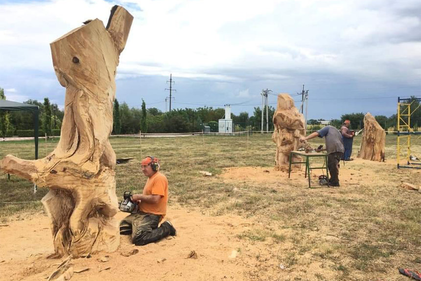 Новини Вінниці / На Вінниччині триває фестиваль дерев’яної скульптури «Ладижинський гай - 2020» (ФОТО)