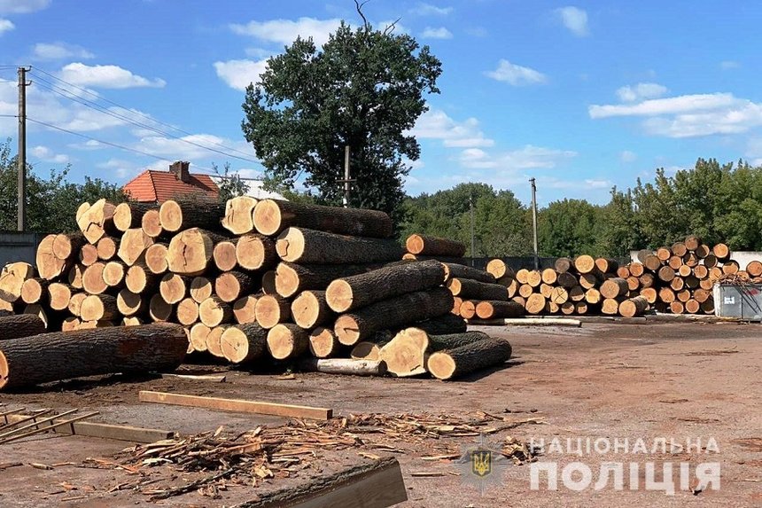 На Вінниччині незаконно вирізали ліс Міноборони (ФОТО) / Новости Винницы и области / Інформаційний портал На Париже Новини Вінниці / На Вінниччині незаконно вирізали ліс Міноборони (ФОТО)