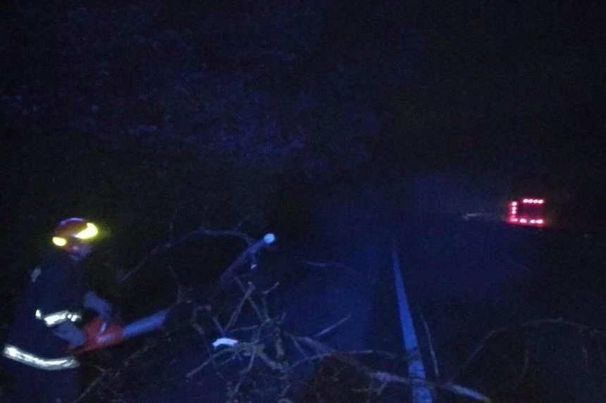 У Жмеринці на Вінниччині вітер повалив дерево на машину / Новости Винницы и области / Інформаційний портал На Париже Новини Вінниці / У Жмеринці на Вінниччині вітер повалив дерево на машину