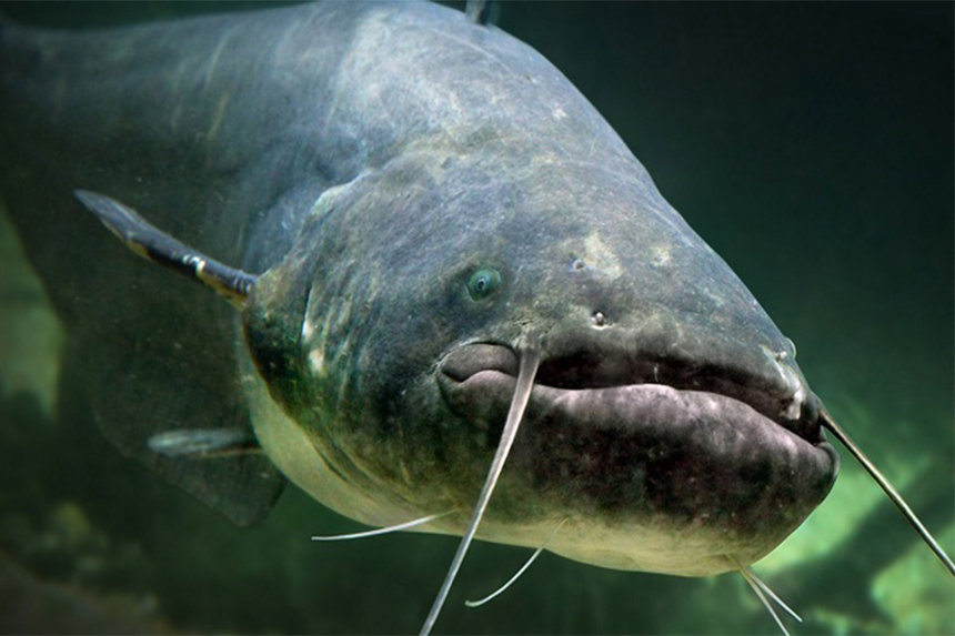 Рибалок Вінниччини попередили про заборону лову в зимувальних ямах / Новости Винницы и области / Інформаційний портал На Париже Новини Вінниці / Рибалок Вінниччини попередили про заборону лову в зимувальних ямах