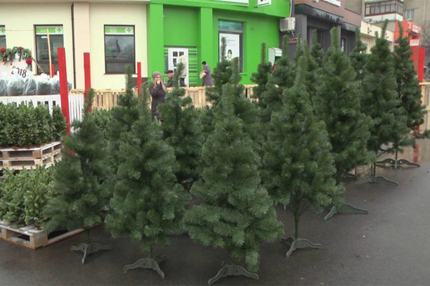 Новини Вінниці / За тиждень у Вінниці запрацюють ялинкові базари
