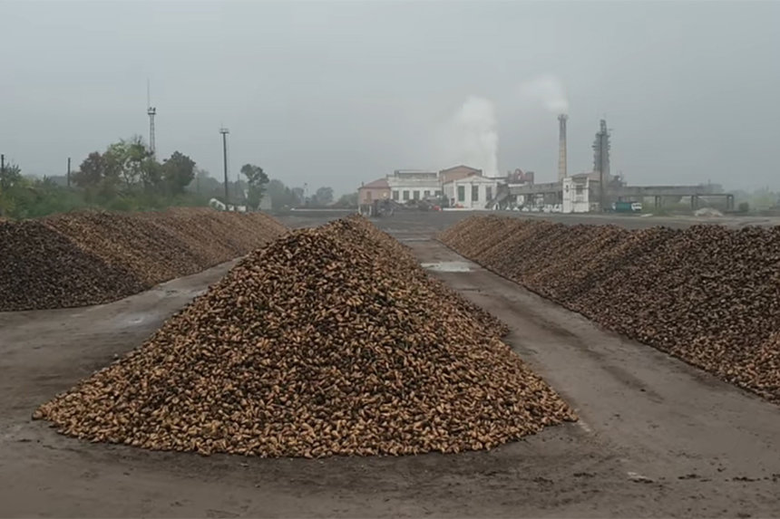 Новини Вінниці / Після галасу у соцмережі на Вінниччині прокуратура ініціювала розслідування факту рейдерського захоплення цукрозаводу