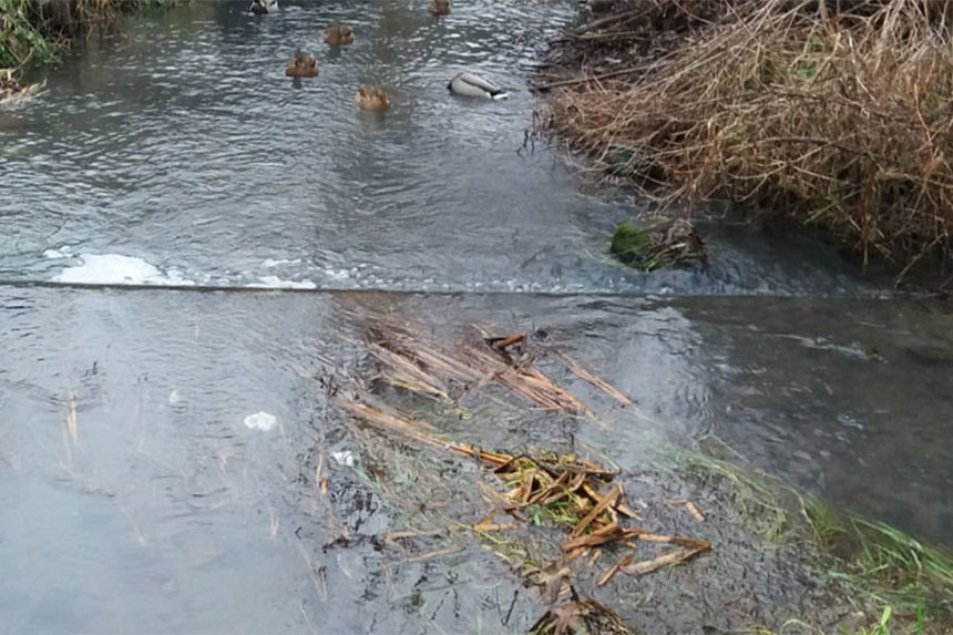 Новини Вінниці / У Держекоінспекції перевірили проби води з Тяжилівки, яку вважають у Вінниці найбільш забрудненою річкою