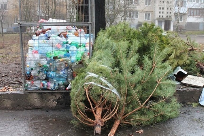Новини Вінниці / Вінничанам нагадали, куди подіти ялинки після свят