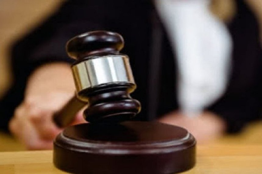 Новини Вінниці / На Вінниччині прокуратура відсудила для облради понад 200 гектарів лісу 