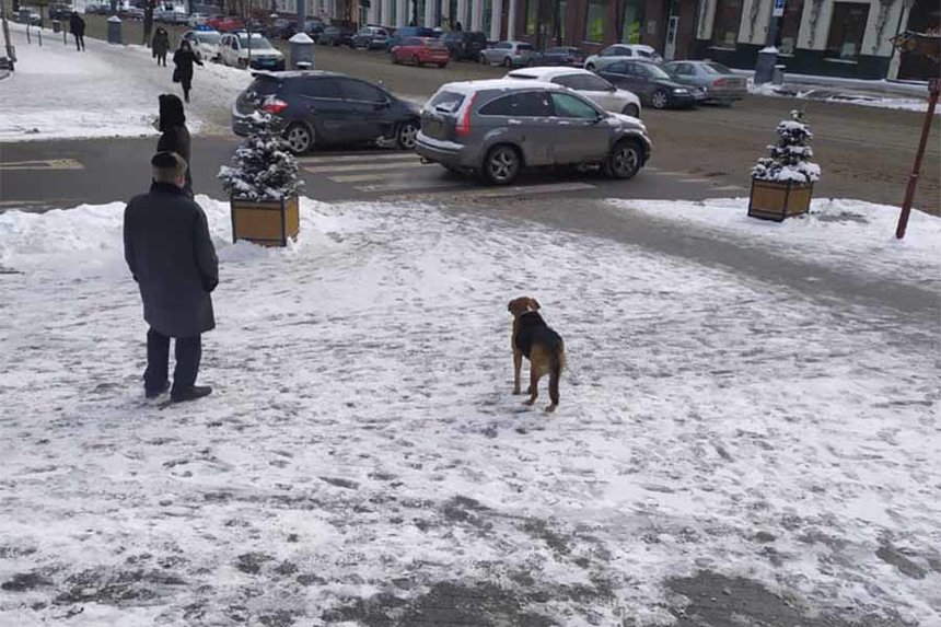 Новини Вінниці / У Вінниці не відбулася «викривна» акція під будівлею ОДА 