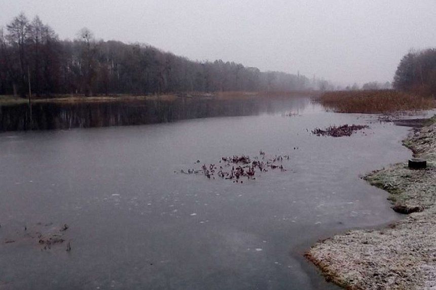 Новини Вінниці / У Тиврівському районі на Вінниччині підприємець безплатно користувався ставком: прокуратура звернулась до суду 
