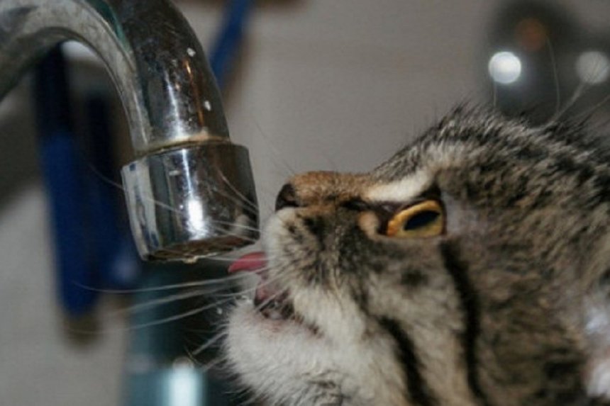 Новини Вінниці / Вінничан попереджають про відключення води в окремих будинках на шести вулицях міста 