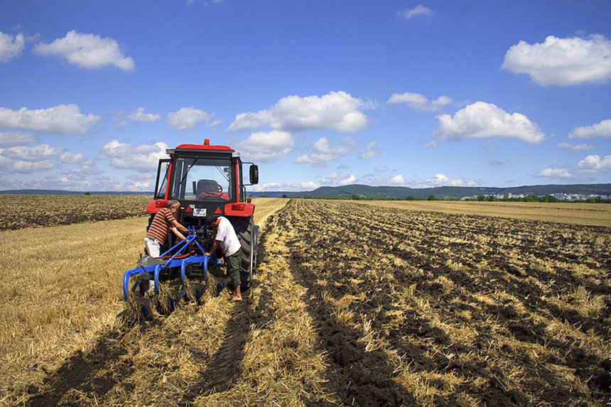 Новини Вінниці / На Вінниччині через 11 гектарів землі посадовицю притягнули до суду за службову недбалість 