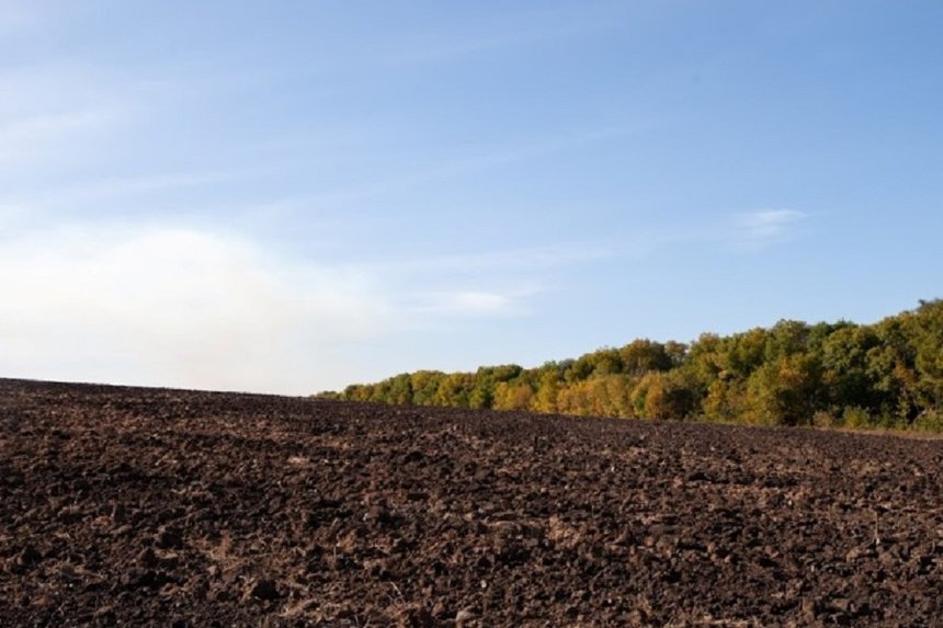 Новини Вінниці / У Томашпільському районі на Вінниччині прокуратура намагається відсудити в орендаря понад 8 гектарів землі 