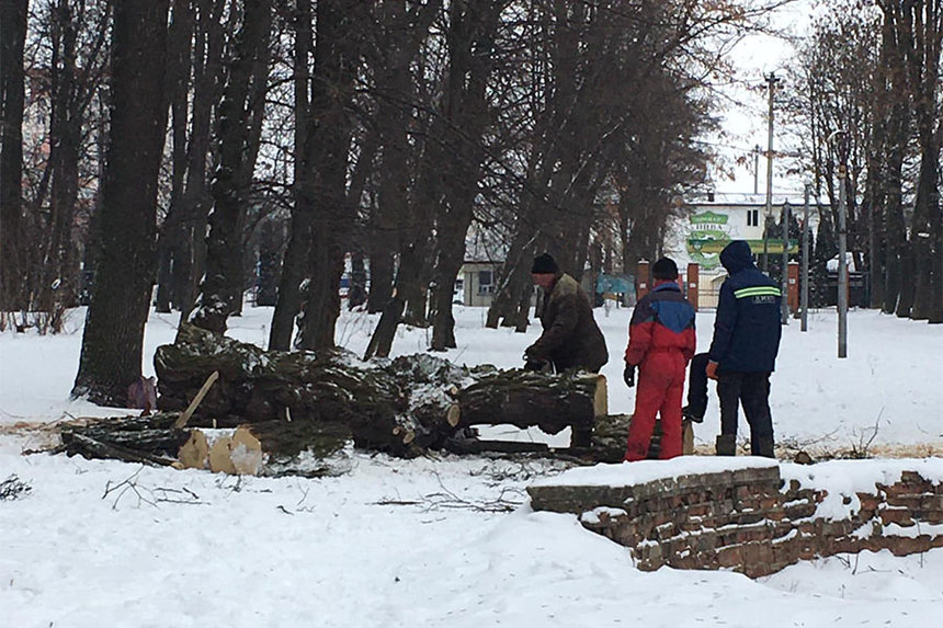 Чому зрізають дерева у «Хіміку»? Вінничан попереджали про санрозчистку / Новости Винницы и области / Інформаційний портал На Париже Новини Вінниці / Чому зрізають дерева у «Хіміку»? Вінничан попереджали про санрозчистку