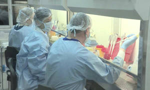 Новини Вінниці / На Вінниччині 22% перевірених тестів на коронавірус показали позитивний результат