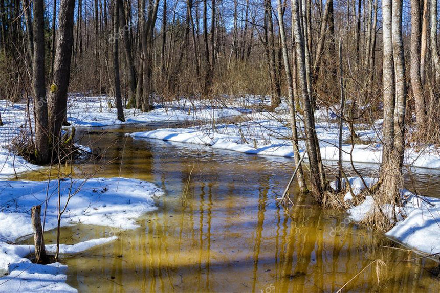 Якою на Вінниччині очікується початок весни: прогноз синоптиків / Новости Винницы и области / Інформаційний портал На Париже Новини Вінниці / Якою на Вінниччині очікується початок весни: прогноз синоптиків