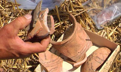 Новини Вінниці / Дві тисячі артефактів за два тижні: на Вінниччині тривають археологічні розкопки трипільського поселення