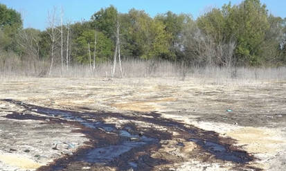 Новини Вінниці / На Вінниччині поблизу Черепашинецького кар’єру з блакитною водою стрімко зростає звалище відходів тваринництва (ВІДЕО)  