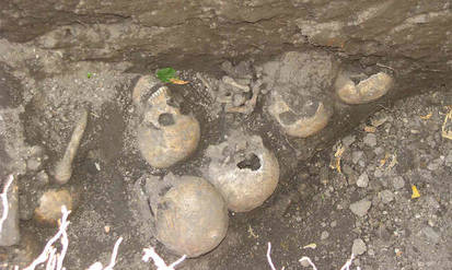 Новини Вінниці / У Мінветеранів через місяць мають вирішити долю військового кладовища у Вінниці 