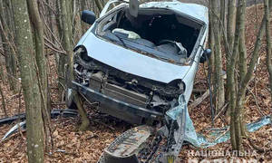 Новини Вінниці / Поблизу Вапнярки на Вінниччині автомобіль злетів з дороги. Водія рятують медики