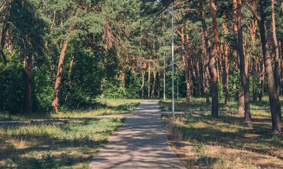 Новини Вінниці / Загроза лісових пожеж на Вінниччині: реальність чи вигадка місцевої влади