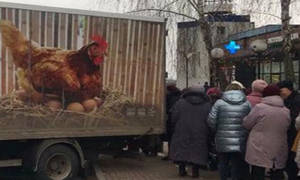 Новини Вінниці / У Вінниці місцевий виробник розпочав продавати яйця по 54 гривень за десяток