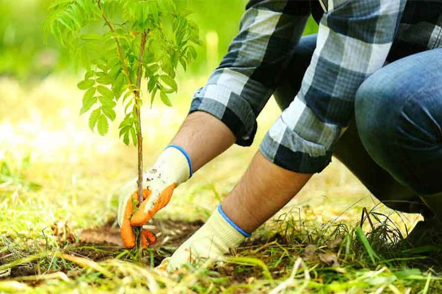 Новини Вінниці / У «Вінницягаз» зазначають, що у рамках акції «Дерево життя» 20 тисяч споживачів відмовились від паперових рахунків