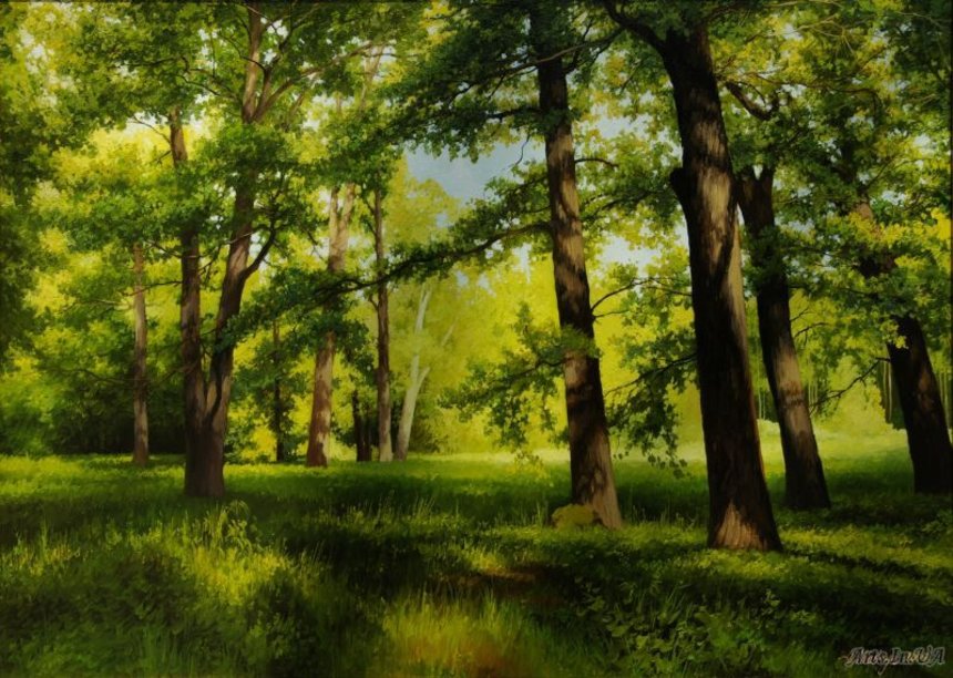 Новини Вінниці / На Вінниччині цього року висадять 8,9 млн сіянців на 826 га