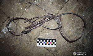 Новини Вінниці / Задушила мотузкою та заховала тіло у погребі: на Вінниччини жінку підозрюють у жорстокому вбивстві