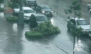 Новини Вінниці / Буревій у Вінниці: шквальний вітер протягом години зламав десятки дерев