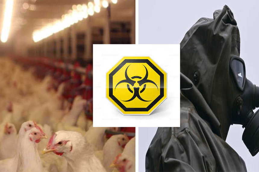 Село проти «екологічної бомби»: у Тростянчику на Вінниччині «по-тихому» в МХП хочуть побувати відстійник для відходів / Новости Винницы и области / Інформаційний портал На Париже Новини Вінниці / Село проти «екологічної бомби»: у Тростянчику на Вінниччині «по-тихому» в МХП хочуть побувати відстійник для відходів