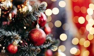 Новини Вінниці / У Вінниці не планують встановлювати новорічну ялинку